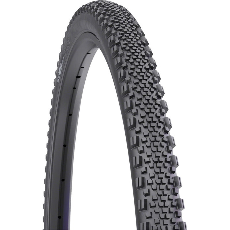 WTB Raddler Tire – 700 x 40 TCS Tubeless Folding BLK Light Fast Rolling SG2