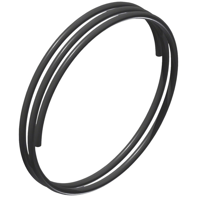 DT Swiss Ratchet DEG Spring