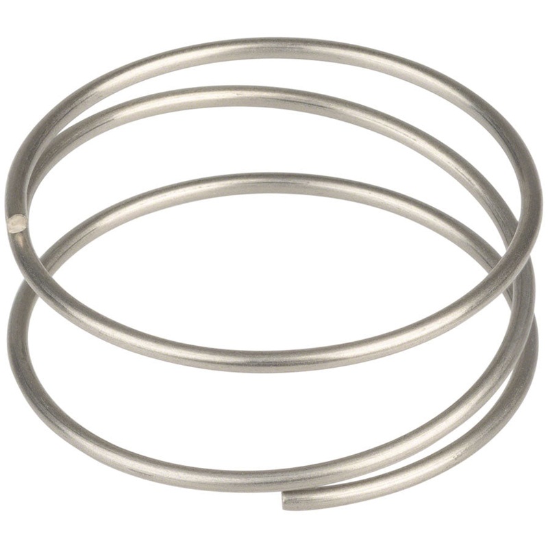 DT Swiss Driver Spring – Ratchet EXP