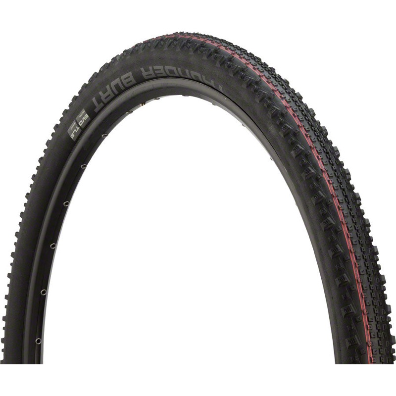 Schwalbe Thunder Burt Tire – 29 x 2.25 Tubeless Folding BLK Evolution Super Ground Addix Speed